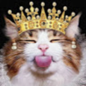 Meet your Posher, Rose